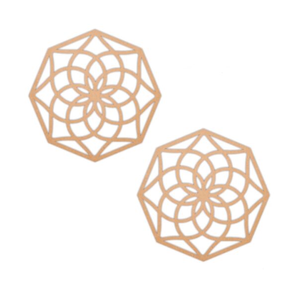 Round earrings design 16
