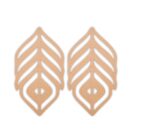 Fether earrings design 9