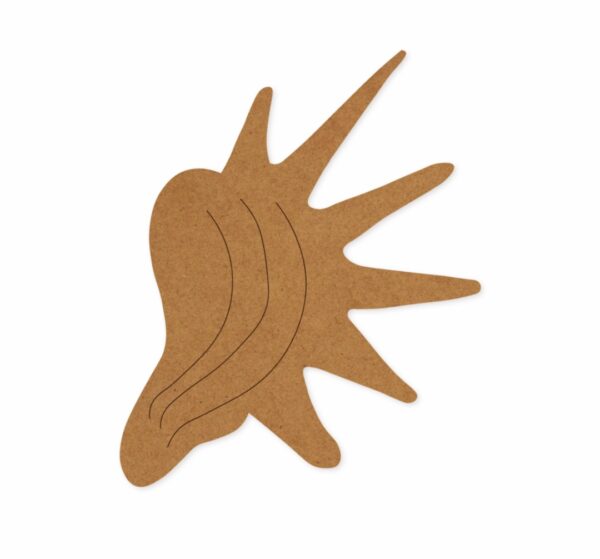 Seashell design 1
