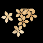 Flower Embellishments Pack of 10