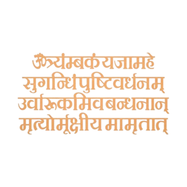 Mahamrityunjay Mantra/ Shlok